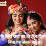 Shri Krishna 2 Line Shayari